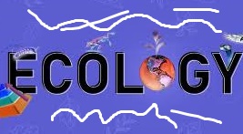 What is Ecology